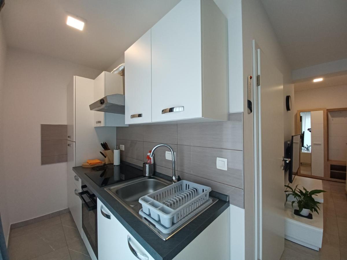 Apartments Leon 2 Novigrad Istria Eksteriør billede